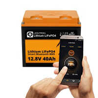 LIONTRON Lithium Batterie | 12V/40 Ah | 22523