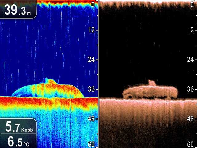 Raymarine CP100 Sonar Modul