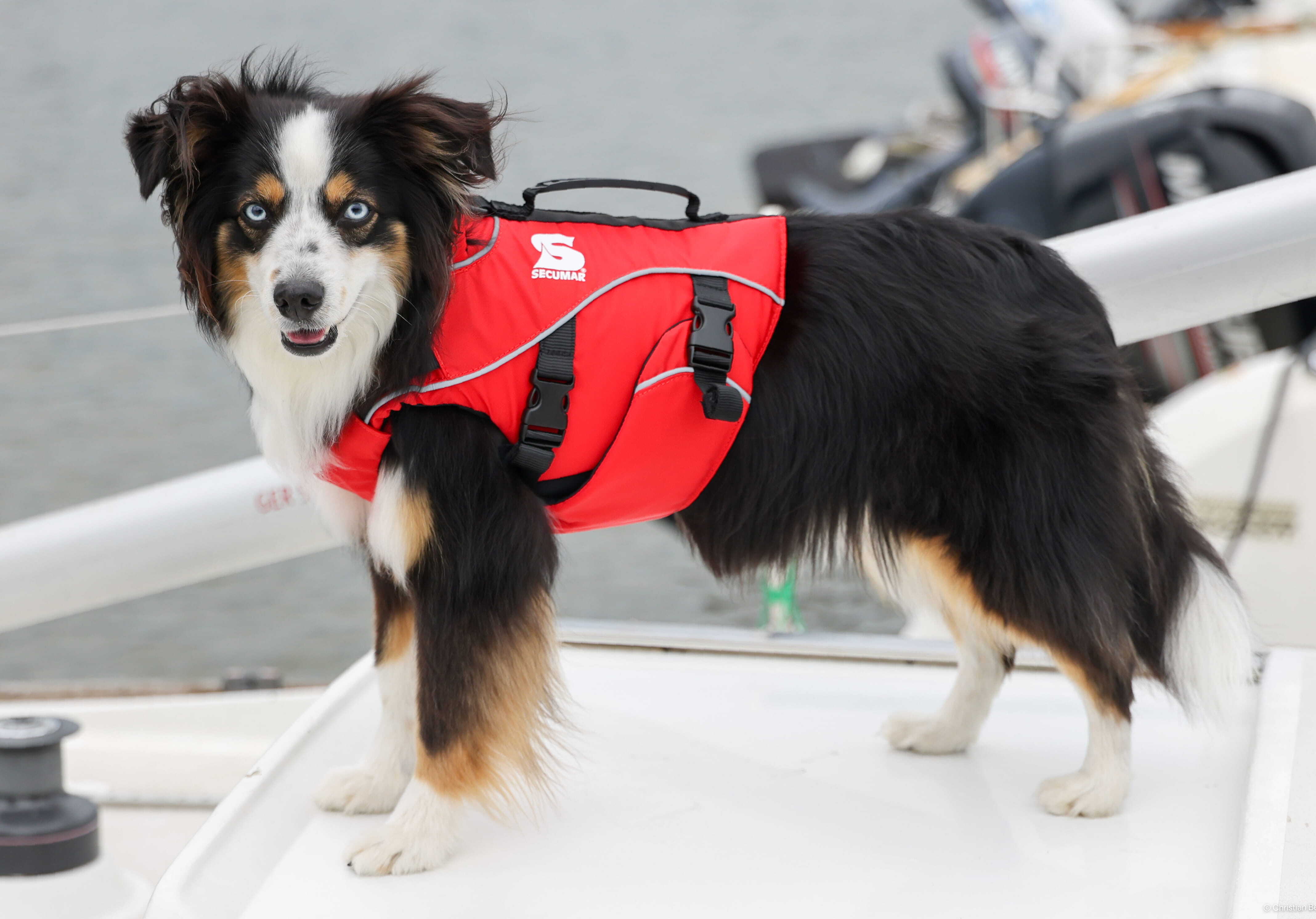 Secumar SECUDOGS Hundeschwimmwesten XL