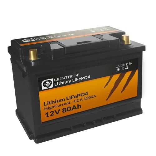 LiFePO4 Akku 24V 6Ah Lithium-Eisen-Phosphat Batterie, 199,00 €