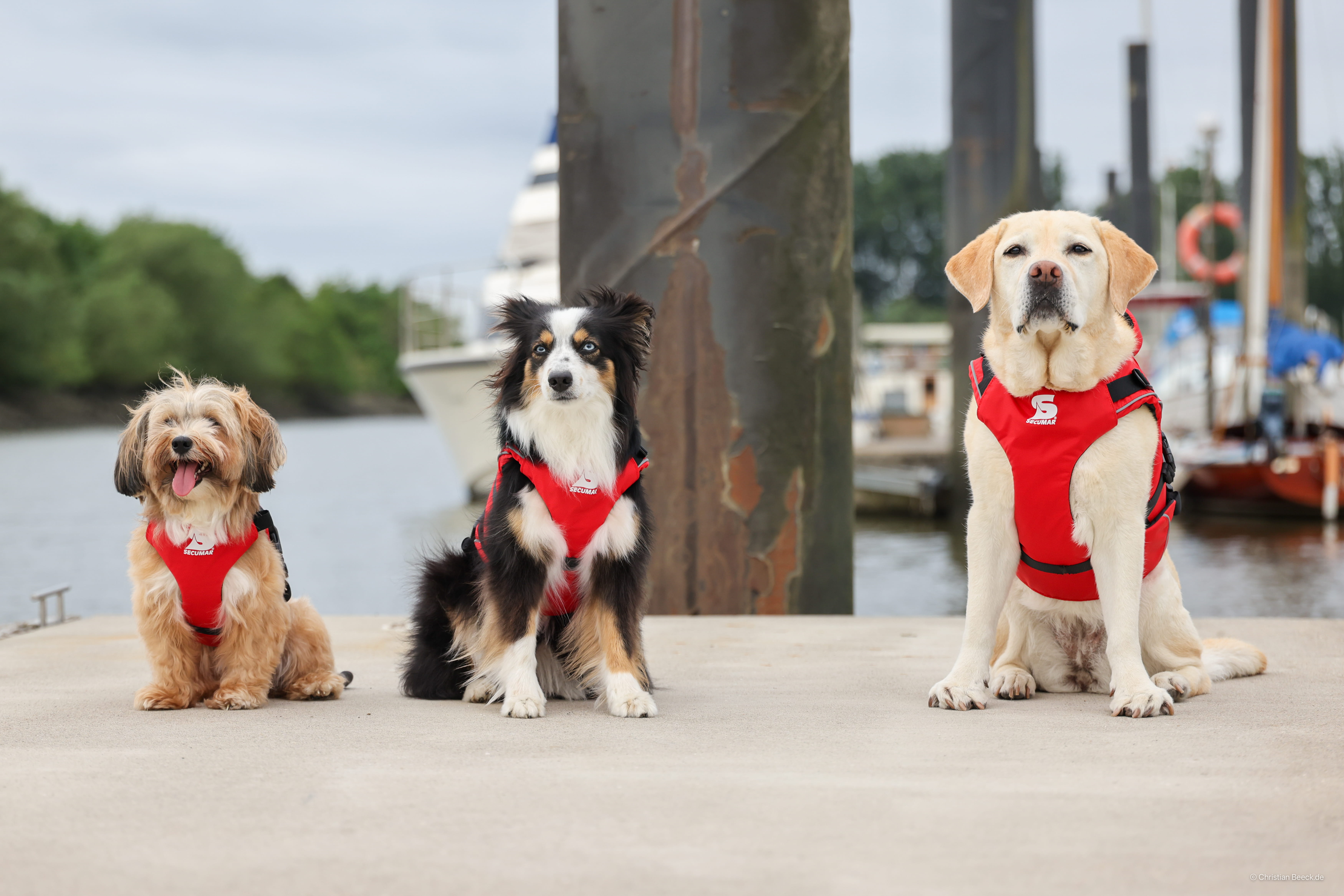 Secumar SECUDOGS Hundeschwimmwesten XL