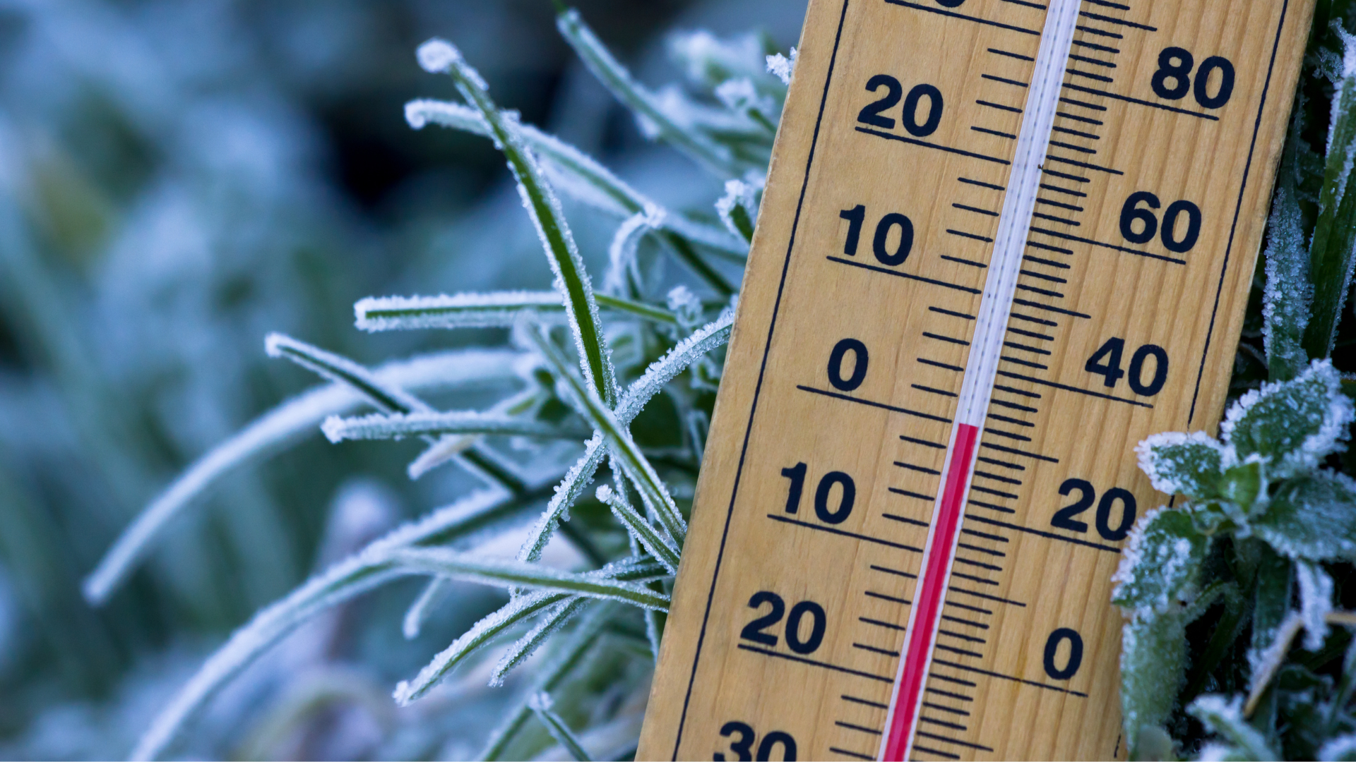 Klimaanlagen & Bootsheizungen