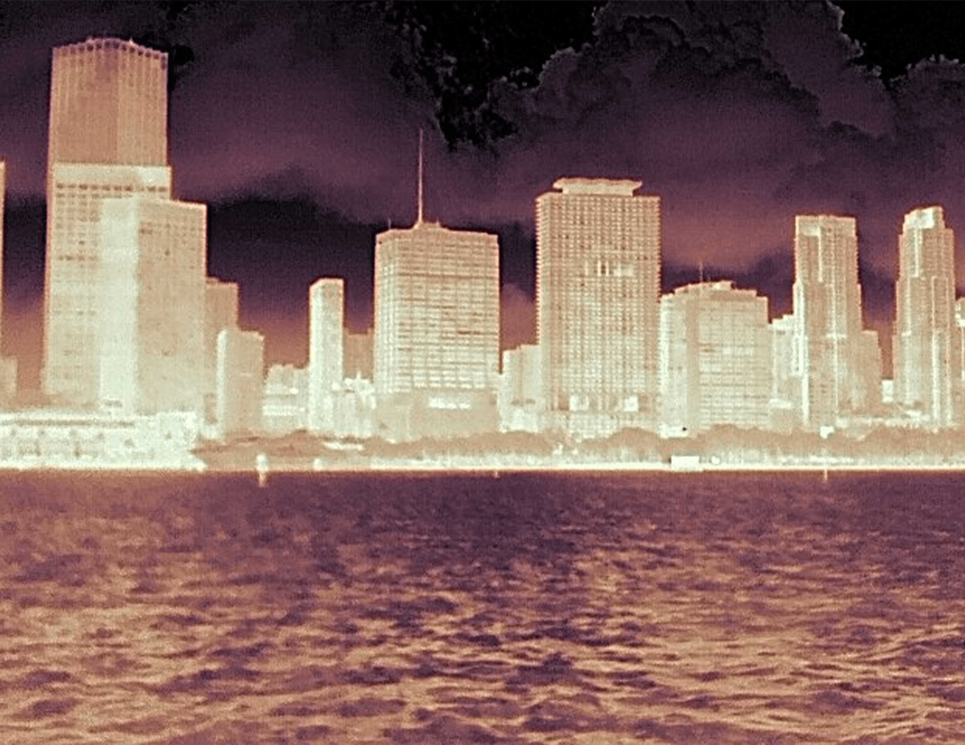 FLIR Ocean Scout Pro zeigt Wärmebilder mit farbiger Darstellung von Temperaturverläufen in verschiedenen Umgebungen