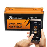 LIONTRON Lithium Batterie | 12V/100 Ah | 22526