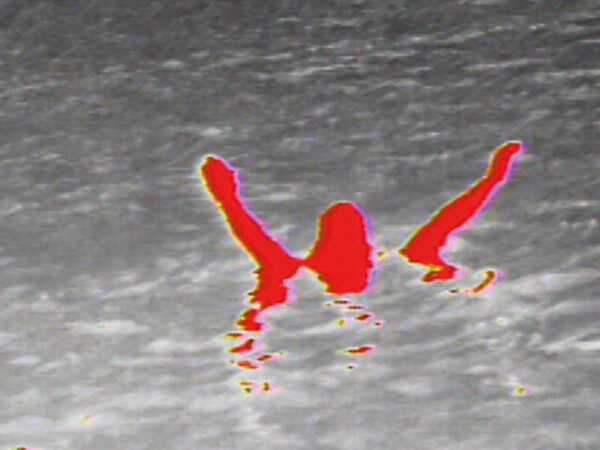 FLIR M332 / M364 Wärmebildkamera